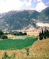 Carmel (1 Samuel 25:7, Song of Songs 7:5), view of Mt