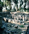 Aphek (1 Samuel 29:1) (En Gev), remains at En Gev, E shore of Sea of Galilee