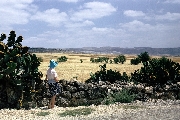 Aijalon Valley (Ajalon)(Joshua 10:12)