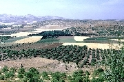 Dothan (Genesis 37:17), view from S